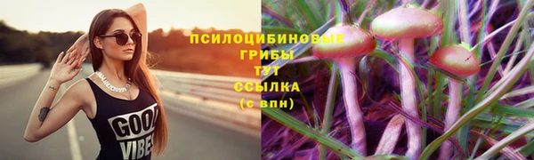 ПСИЛОЦИБИНОВЫЕ ГРИБЫ Белоозёрский