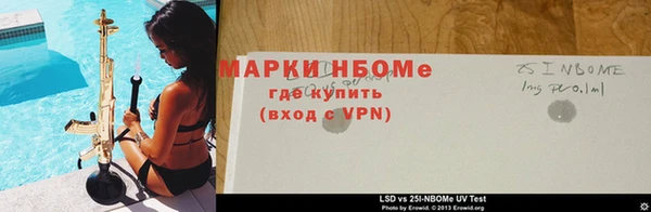 ПСИЛОЦИБИНОВЫЕ ГРИБЫ Белоозёрский