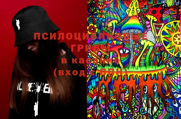 ПСИЛОЦИБИНОВЫЕ ГРИБЫ Белоозёрский