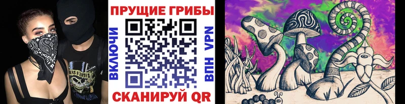 Купить закладки  Корсаков  Псилоцибиновые грибы MAGIC MUSHROOMS 